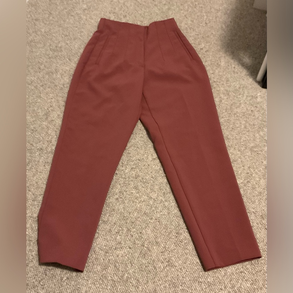 Zara Women’s Rust Coloured Pants